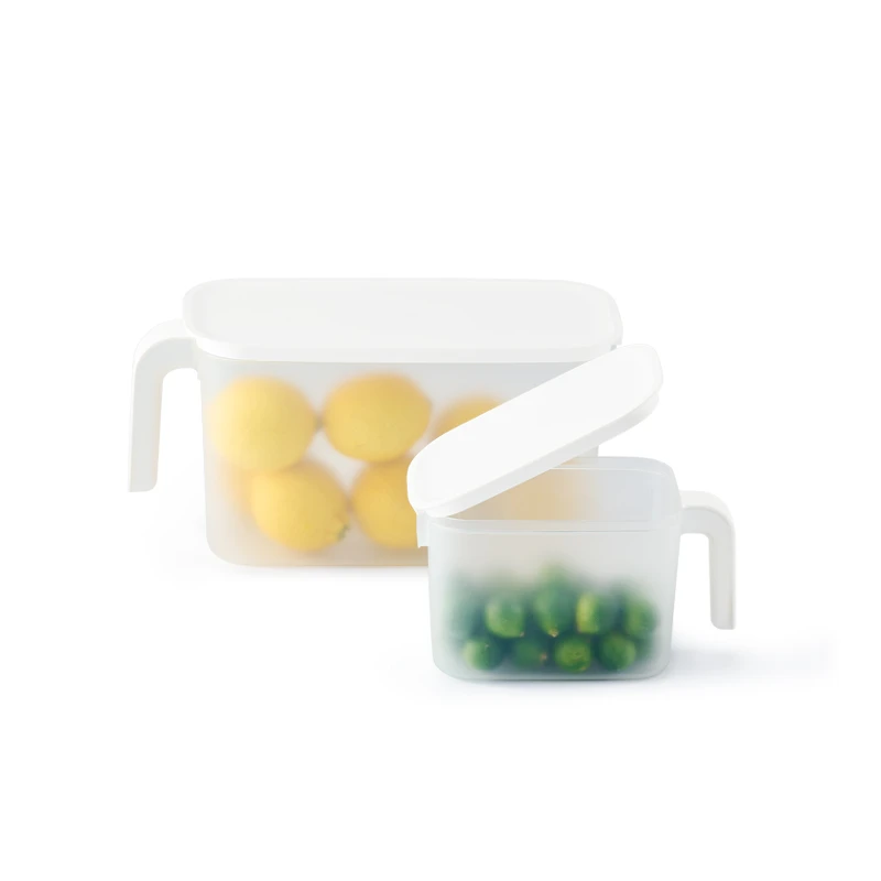 Meal Prep & Fresh Container